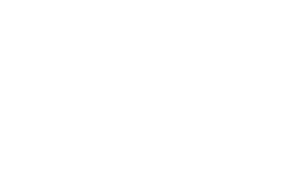 Pam Panorama
